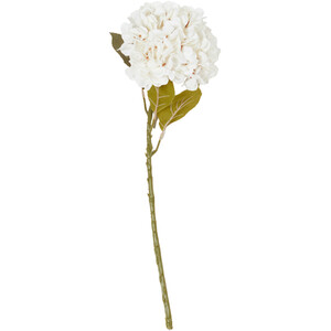 Hydrangea Stem - Neutral