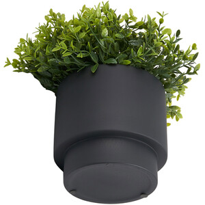 Grass in Black Pot - Black