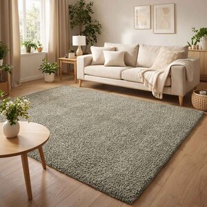 Ainsley Plain Living Room Shaggy Area Rug Modern Soft Pile Polyester Rug